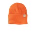 Carhartt® Watch Cap 2.0